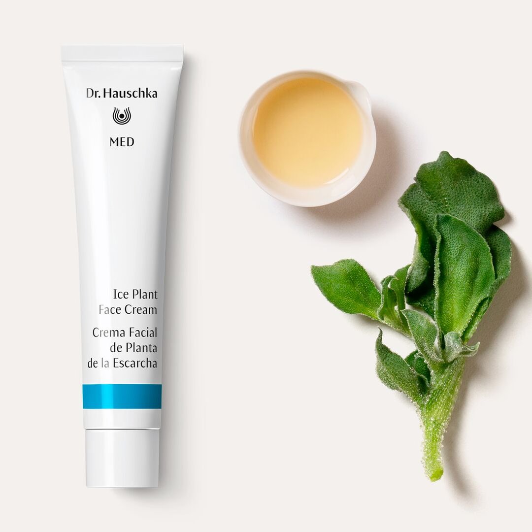 Dr. Hauschka MED Ice Plant Face Cream 40ml