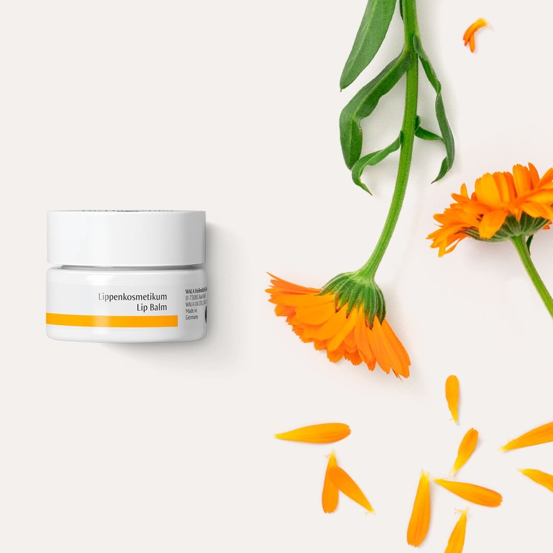 Dr. Hauschka Lip Balm 4.5ml