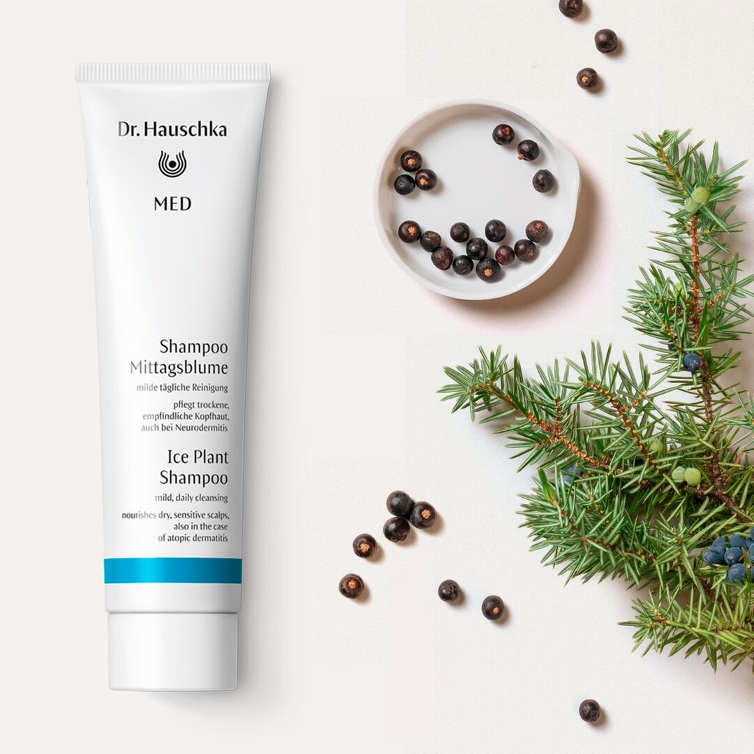 Dr. Hauschka MED Ice Plant Shampoo 150ml