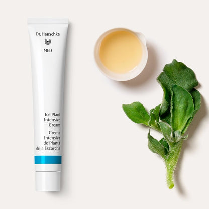 Dr. Hauschka MED Ice Plant Intensive Cream 50ml