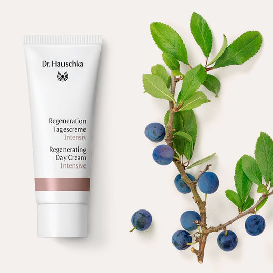 Dr. Hauschka Regenerating Day Cream Intensive 40ml