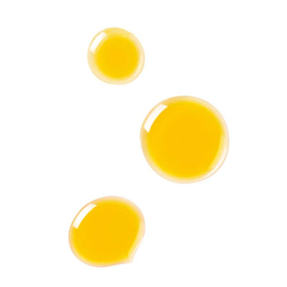 Dr. Hauschka Clarifying Day Oil 18ml